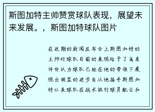 斯图加特主帅赞赏球队表现，展望未来发展。，斯图加特球队图片
